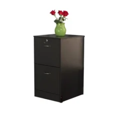 Wilson 2 Drawer Filing Cabinet - Buylateral -Online Furniture Store GUEST 4805f355 119c 471f bb76 d60096bb8581