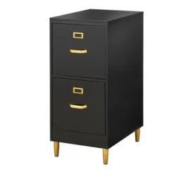 Dixie 2 Drawer Filing Cabinet - Buylateral -Online Furniture Store GUEST a6c30278 e9d2 483a b366 845bb9afa6b5